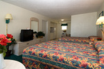 Large Efficiency Partial Ocean View Picture 1