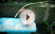 Foam.bath