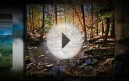 Gatlinburg Attractions