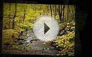 Hotels In Gatlinburg TN